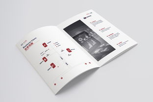 信息咨询服务画册 您的专业导航与智慧伙伴